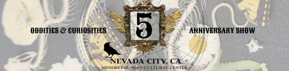 2026 Oddities & Curiosities Show - Nevada City 5th Anniversary