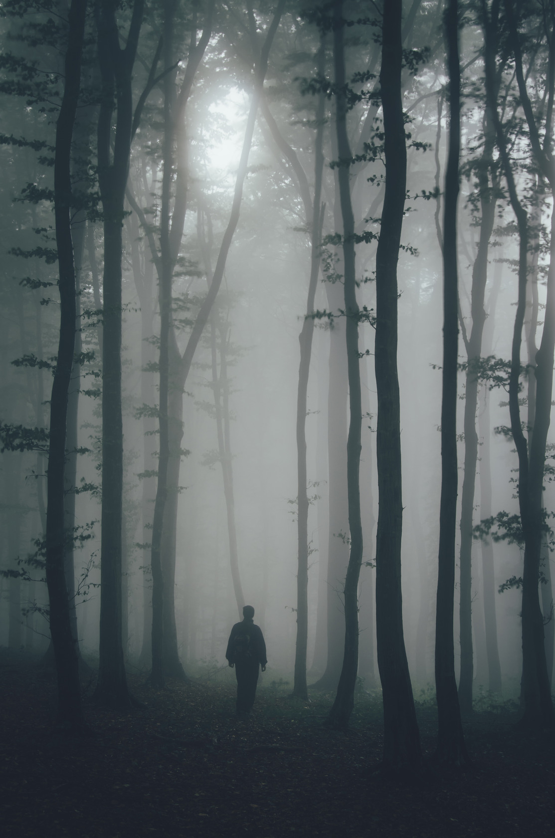 Riley Thomas Mysteries Cover